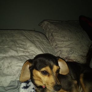 Meet your Posher, Madison